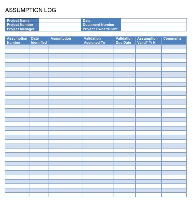 Assumption Log Template PDF