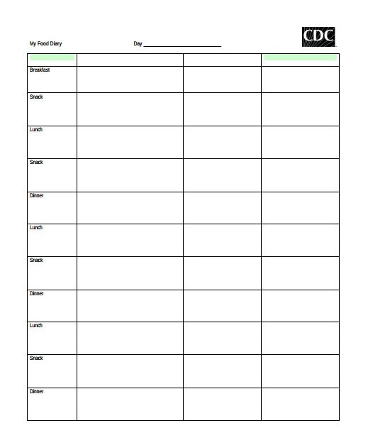 Daily Food Log Format