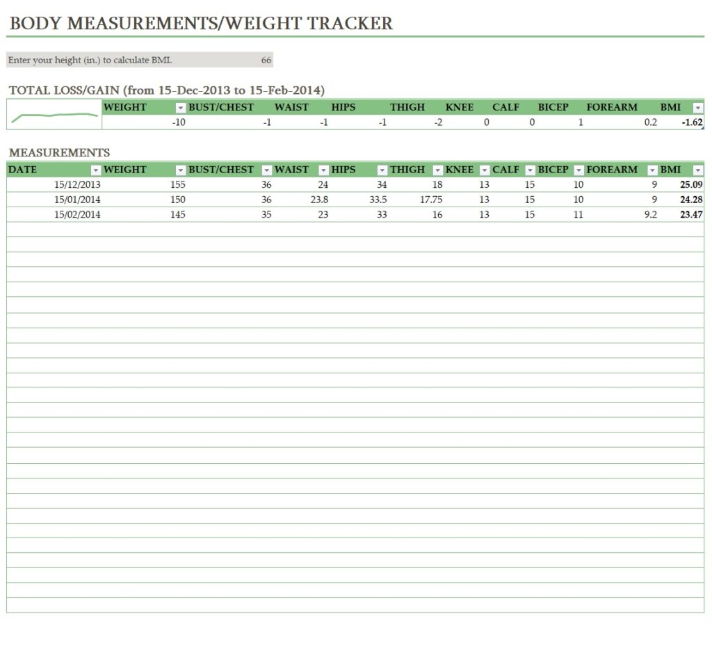 Body Measurements Tracking Template