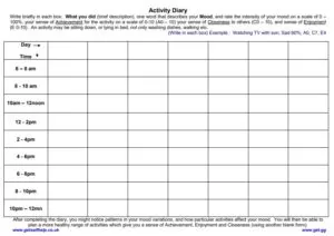 Activity Diary Template