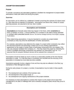 Assumption Management Log Template