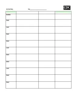 Daily Food Log Format