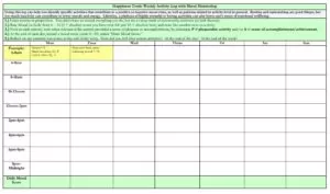 Day To Day Activity Log Template