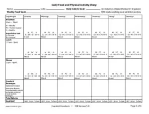 Food Log Layout