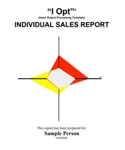 Individual Sales Log Template
