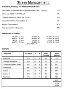Stress Test Log Template