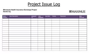 Project Issue Log Example