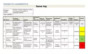 Project Issue Log Format