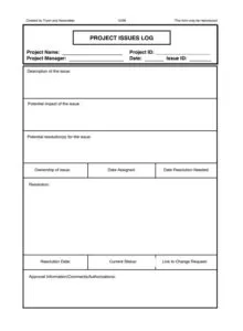 Project Issue Log Layout