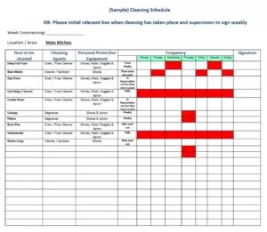 House Cleaning Log Format